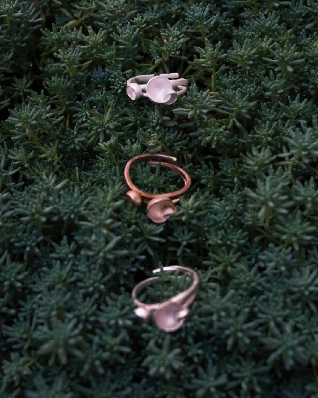 Bloom Ring